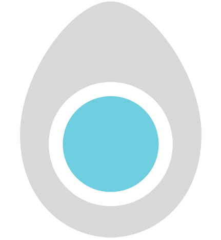 Electric Egg Brand Management